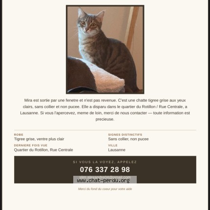 Photo 1/1 mira Chat perdu à Lausanne