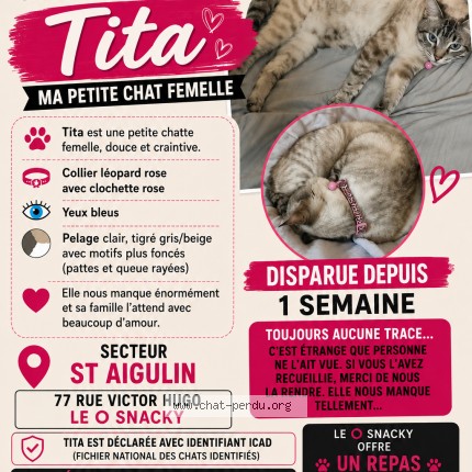Photo 1/1 tita Chat perdu à Saint Aigulin