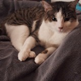 Lilly
