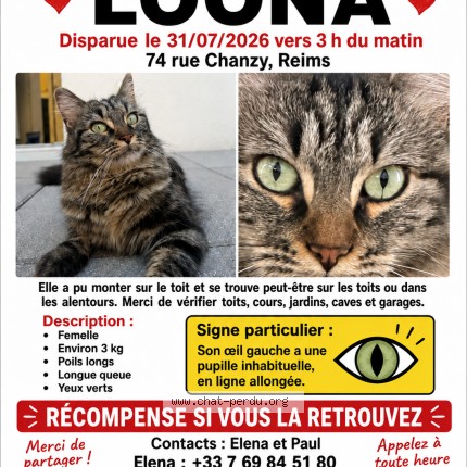 Photo 1/1 LOONA Chat perdu à Reims