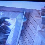 Ch&eacute;rie