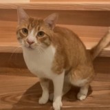 Yuki