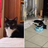 Sirius