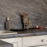 layka