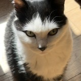 Mimi