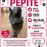 P&eacute;pite
