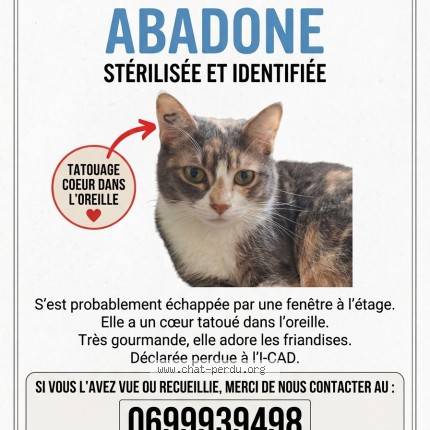 Photo 1/1 Abadone Chat perdu à Fontenay