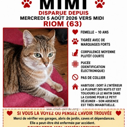Photo de chat perdu à Riom