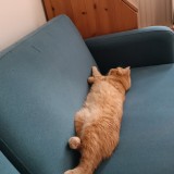 Jean-Jean