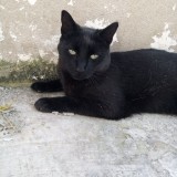 Lucifer