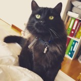 Milo