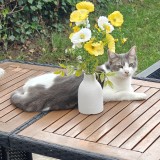 Yuki