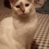 gloria