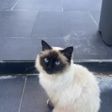 Mia