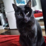 lola