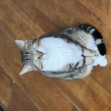 Minuscule
