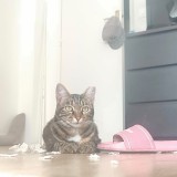 Naya