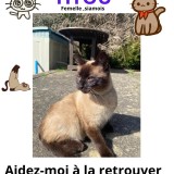 titou