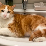 Paolo