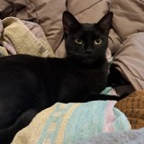 Kiki