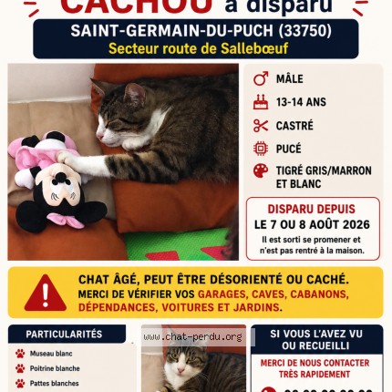Photo de chat perdu à Saint Germain Du Puch