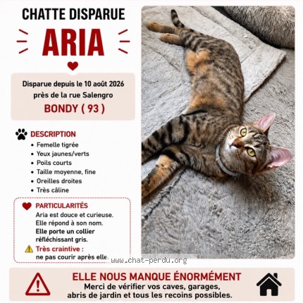 Photo 2/2 Aria Chat perdu à Bondy