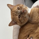 Keiko