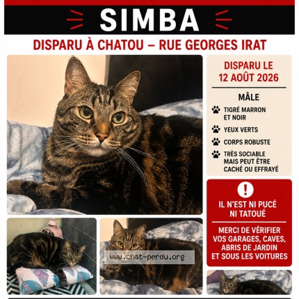 Photo de chat perdu à Chatou