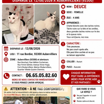 Photo de chat perdu à Aubervilliers