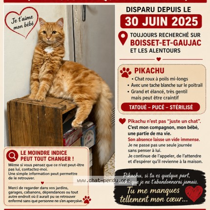 Photo de chat perdu à Boisset Et Gaujac