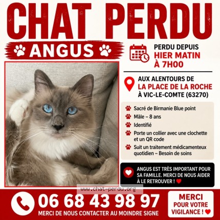 Photo de chat perdu à Vic Le Comte