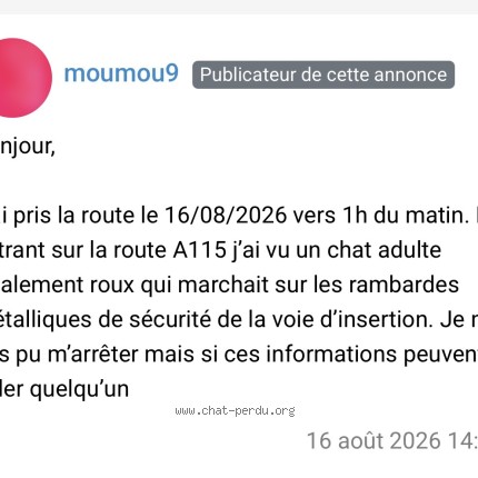 Photo de chat trouvé à Eaubonne