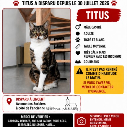 Photo 1/1 Titus Chat perdu à Lincent