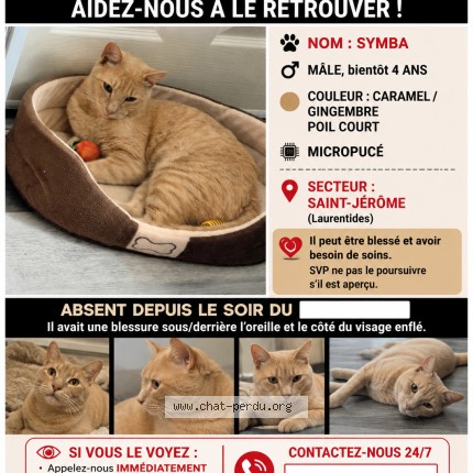 Photo 1/1 Symba Chat perdu à St Jerome