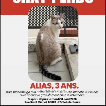 Photo 1/1 Alias Chat perdu à Lyon