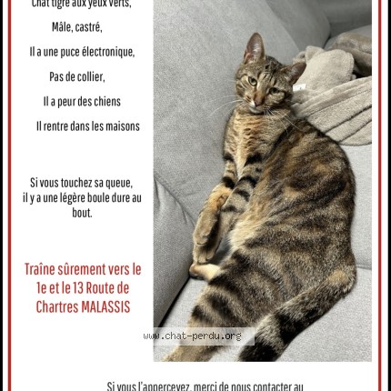 Photo de chat perdu à Malassis