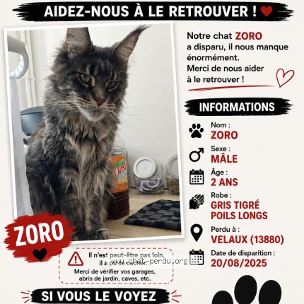 Photo de chat perdu à Velaux