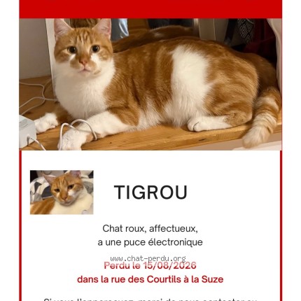 Photo de chat perdu à La Suze Sur Sarthe