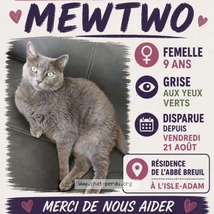 Photo de chat perdu à L Isle Adam