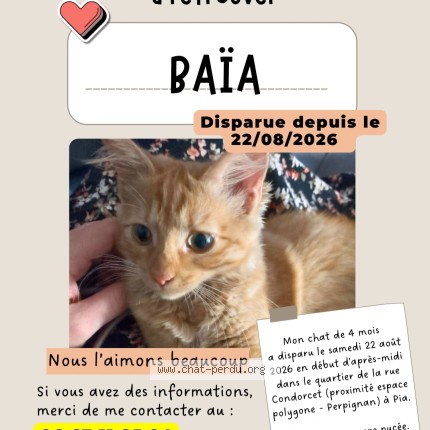Photo 1/1 Baïa Chat perdu à Pia