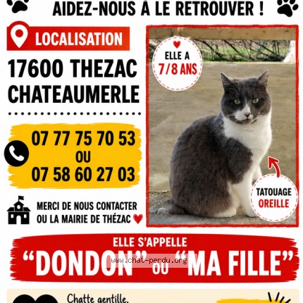 Photo 1/1 Dondon ou ma fille Chat perdu à Thezac