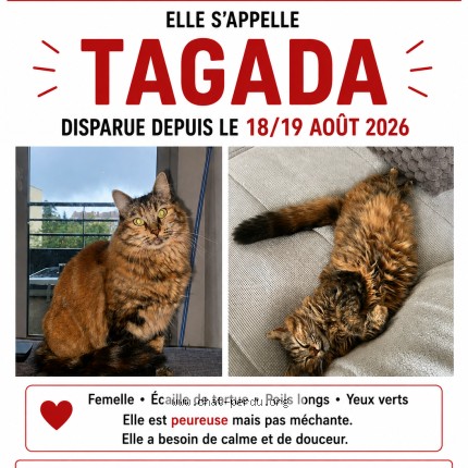 Photo de chat perdu à Villefranche Sur Saone