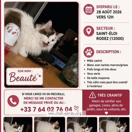 Photo de chat perdu à Rodez