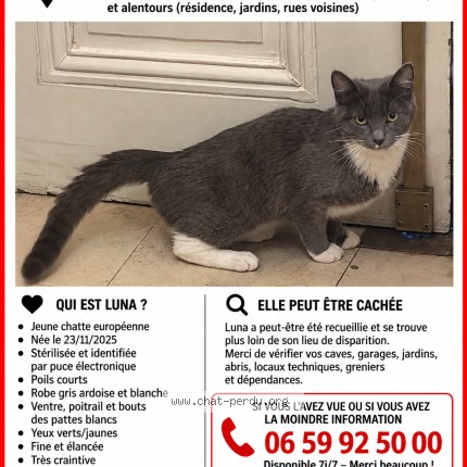 Photo de chat perdu à Paris