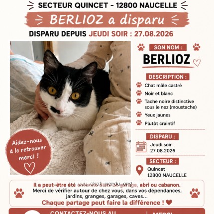Photo de chat perdu à Naucelle