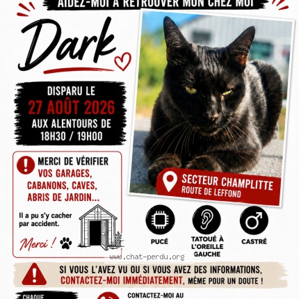 Photo 1/1 Dark Chat perdu à Champlitte