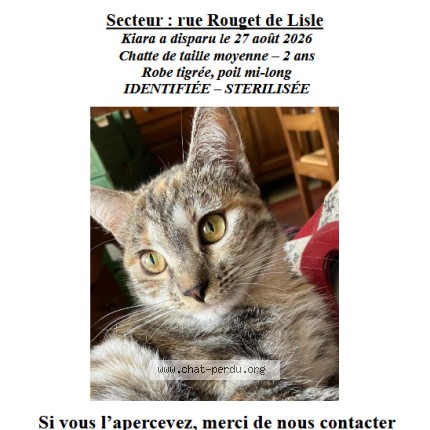 Photo 1/1 KIARA Chat perdu à Agen