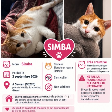 Photo 1/1 simba Chat perdu à Sevran