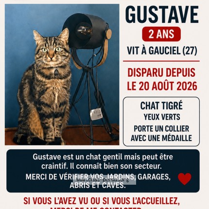 Photo 1/1 gustave Chat perdu à Gauciel