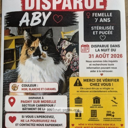 Photo 1/1 Aby Chat perdu à Pagny Sur Moselle